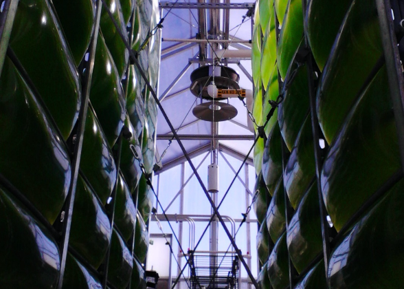 The Air Accordion Photobioreactor system, a high-efficiency system to produce algae for nutritional products, was invented by University of Arizona professor Joel Cuello