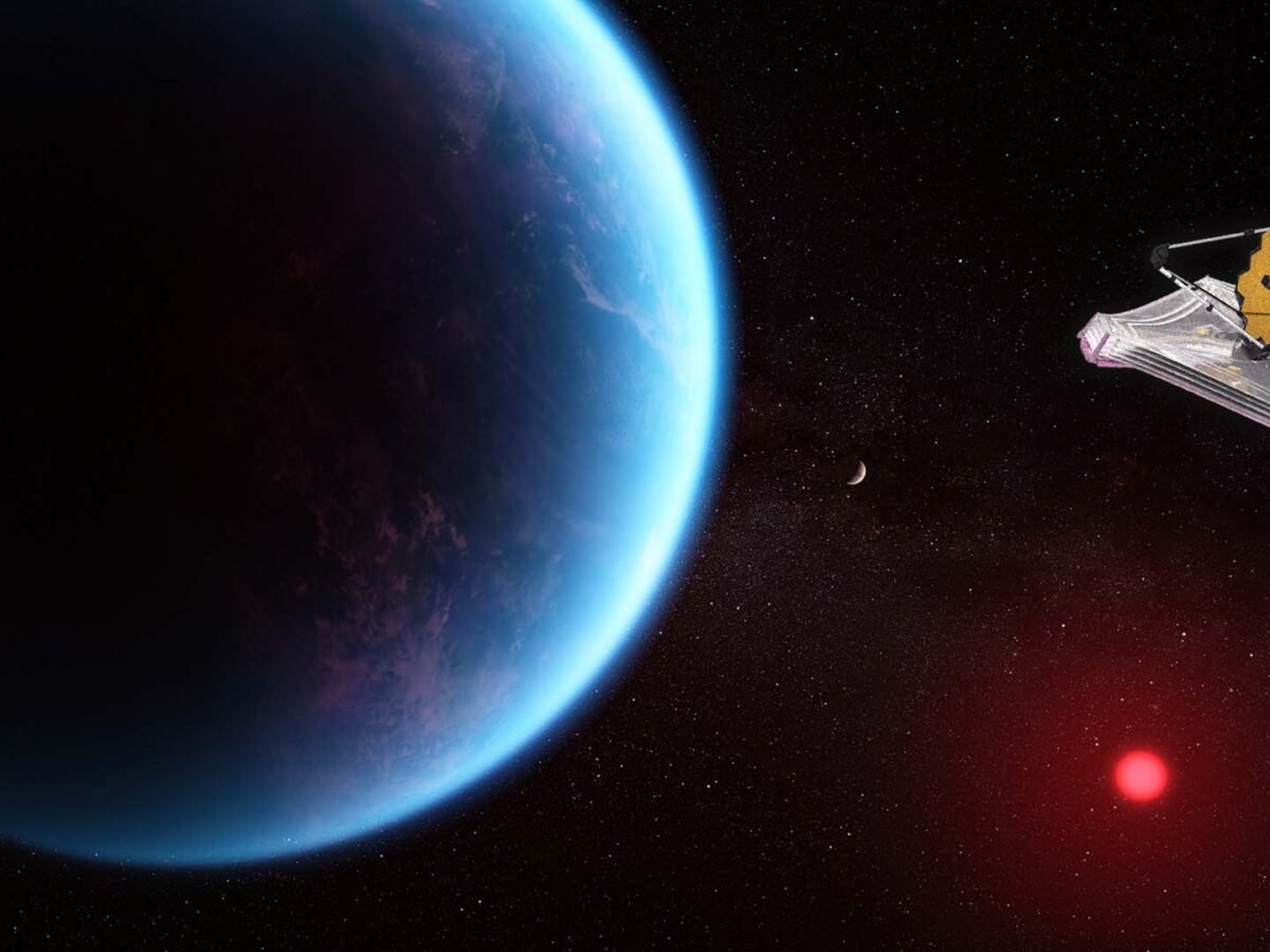 [プロトスター]phenomizm Zenith-Defy-Extreme-Lapis-