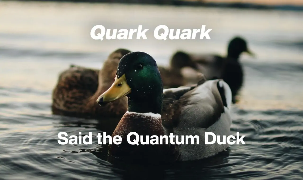 meme on quarks